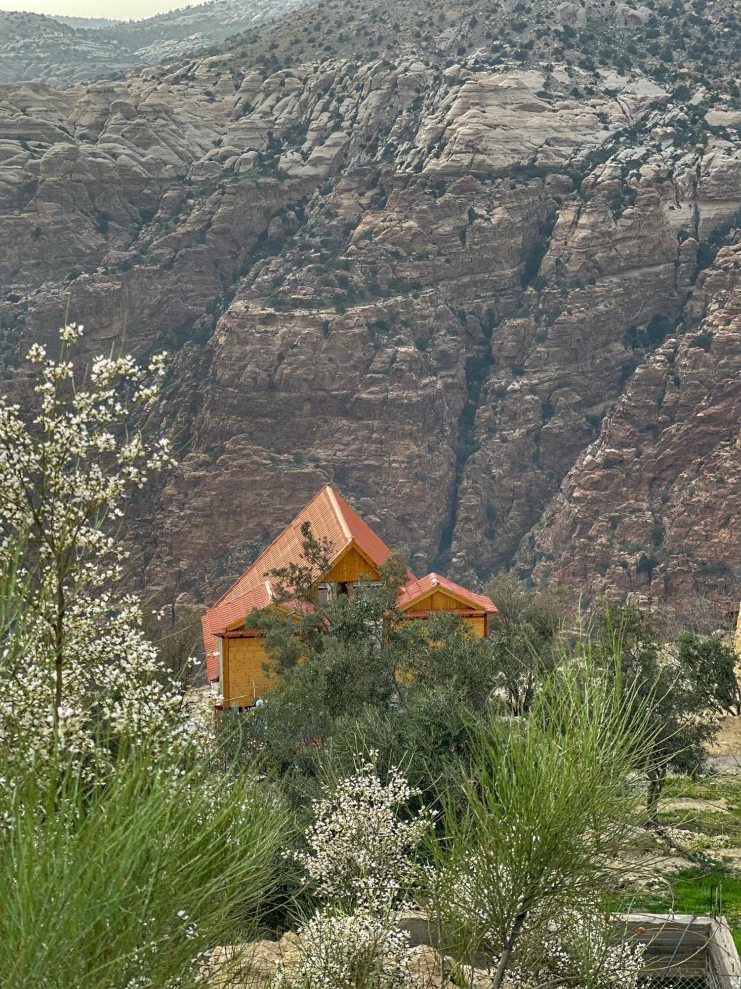 Dana Luxury Huts Hotel Eksteriør billede